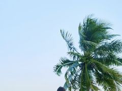 -三亚绿发山海天JW万豪酒店
