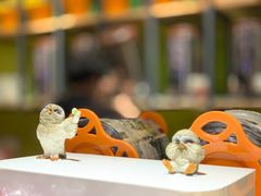 -幸福侯彩擂·奶茶