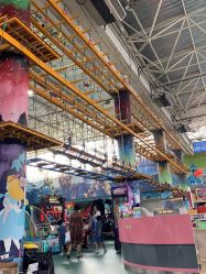 -爱丽丝奇幻乐园