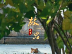 -故宫博物院(故宫)