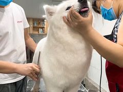 -有宠宠物(YOUCOIN·未来店)