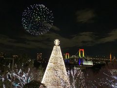 -台场海滨公园船码头