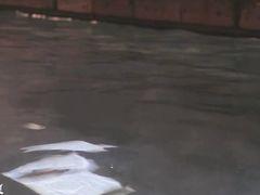 -嘉佑温泉水世界