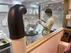 -佐罗家宠物馆·猫文化馆(紫霞路店)