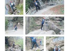 -王顺山国家森林公园