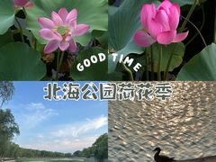 -北海公园