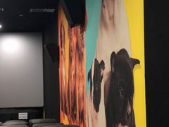 -大光明丽星VIP影城(昌里路杜比全景声店)