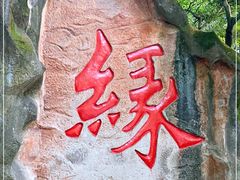 -杭州黄龙洞