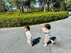 -宝安西湾红树林湿地公园