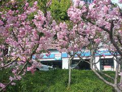 android_upload_pic-车水马龙3M汽车贴膜冠军店隐形车衣改色膜(漕宝路中环店)