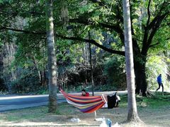 -南国桃园旅游度假区