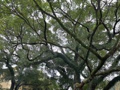 -桂林独秀峰王城景区
