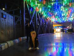 -郑州方特梦幻王国