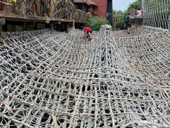 -呀路古热带植物园