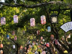 -江心屿景区