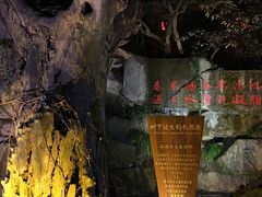 -西安国际创新人才交流中心•药浴温泉