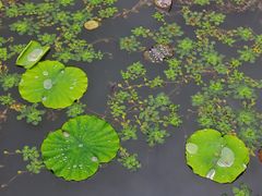 -渤公岛生态公园