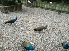 -南京金牛湖风景区