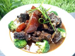 古法焖高山小黄牛肉-日出青木·杭帮菜名店