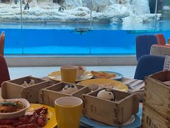 -帝企鹅自助餐厅•儿童岛•真企鹅(长隆企鹅酒店)