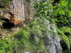 -龙苍沟森林公园