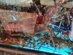 -海都六福酒家(世博广场店)