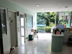 -佳雯宠物医院·皮肤科·内外科(春晓路分院)