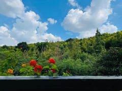 -旺山·浪头人家