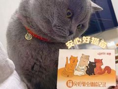-艾贝尔宠物医院 ·中兽医·宠保定点(北门桥店)