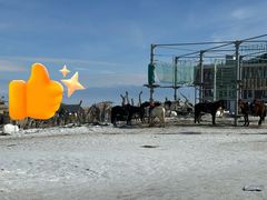 -丝绸之路山地度假区滑雪场
