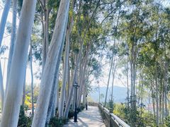 -雁南飞茶田景区