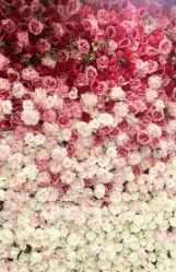 教室-WITCH （舞季）舞蹈工作室