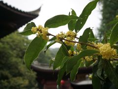 -北高峰