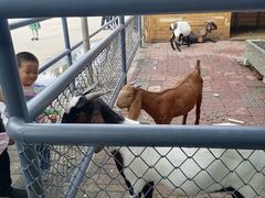 -长白岛森林公园