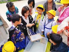 -杨梅红艺术教育(凤城教学中心)