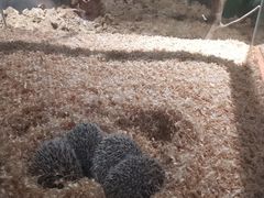 -苏州海洋馆