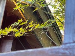 -静之湖度假区