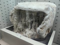 -浙江自然博物院(杭州馆)