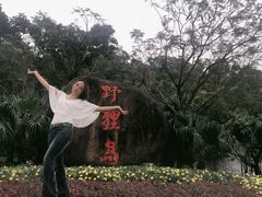 -野狸岛