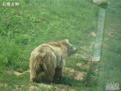 -西安秦岭野生动物园