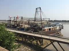 -大湾区中央湿地公园-十九涌