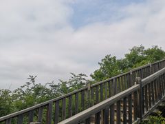 -帽儿山国家森林公园