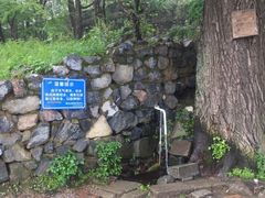 -阳台山自然风景区
