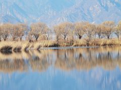 -野鸭湖国家湿地公园