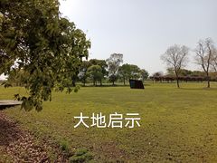 -莲花岛景区