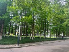 -上海第二工业大学(金海路校区)