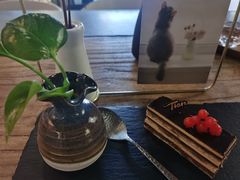-Tian品