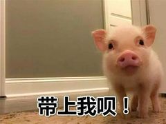 -肯德基(珠峰店)