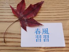 -春风习习