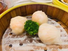 雲庭汇虾饺皇-云庭汇·粤菜海鲜(东盟盛天地店)